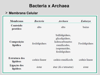 Bacteria x Archaea
 Membrana Celular
 
