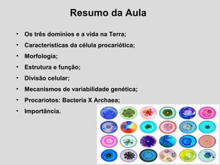 Resumo da Aula
• Os três domínios e a vida na Terra;
• Características da célula procariótica;
• Morfologia;
• Estrutura e função;
• Divisão celular;
• Mecanismos de variabilidade genética;
• Procariotos: Bacteria X Archaea;
• Importância.
 