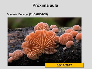 Próxima aula
Domínio Eucarya (EUCARIOTOS):Domínio Eucarya (EUCARIOTOS):
06/11/2017
 