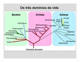 Os três domínios da vida
 