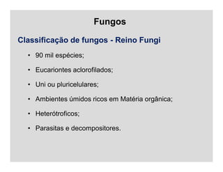 Fungos
Classificação de fungos - Reino Fungi
• 90 mil espécies;
• Eucariontes aclorofilados;
• Uni ou pluricelulares;
• Ambientes úmidos ricos em Matéria orgânica;
• Heterótroficos;
• Parasitas e decompositores.
 