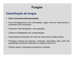 Fungos
Classificação de fungos
 Reino Chromista (Stramenophila)
• Inclui microrganismos com cloroplastos, algas marrons, diatomáceas e
oomicetos (Filo Oomycota)
• Produzem hifas alongadas e não septadas;
• Zoósporos biflagelados em zoosporângios;
• Zosporângios produzidos em hifas de crescimento indeterminado;
• Produzem esporos de repouso –oosporos- produzidos pela união dos
gametângios anterídio (masculino) e oogônio (feminino);
• Parede celular compostas por glucana e celulose.
 
