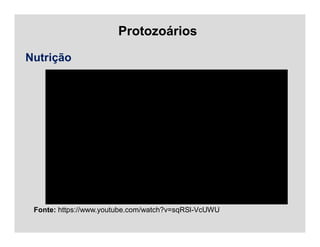 Protozoários
Nutrição
Fonte: https://www.youtube.com/watch?v=sqRSl-VcUWU
 