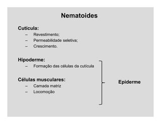 Nematoides
Cutícula:
– Revestimento;
– Permeabilidade seletiva;
– Crescimento.
Hipoderme:
– Formação das células da cutícula
Células musculares:
– Camada matriz
– Locomoção
Epiderme
 