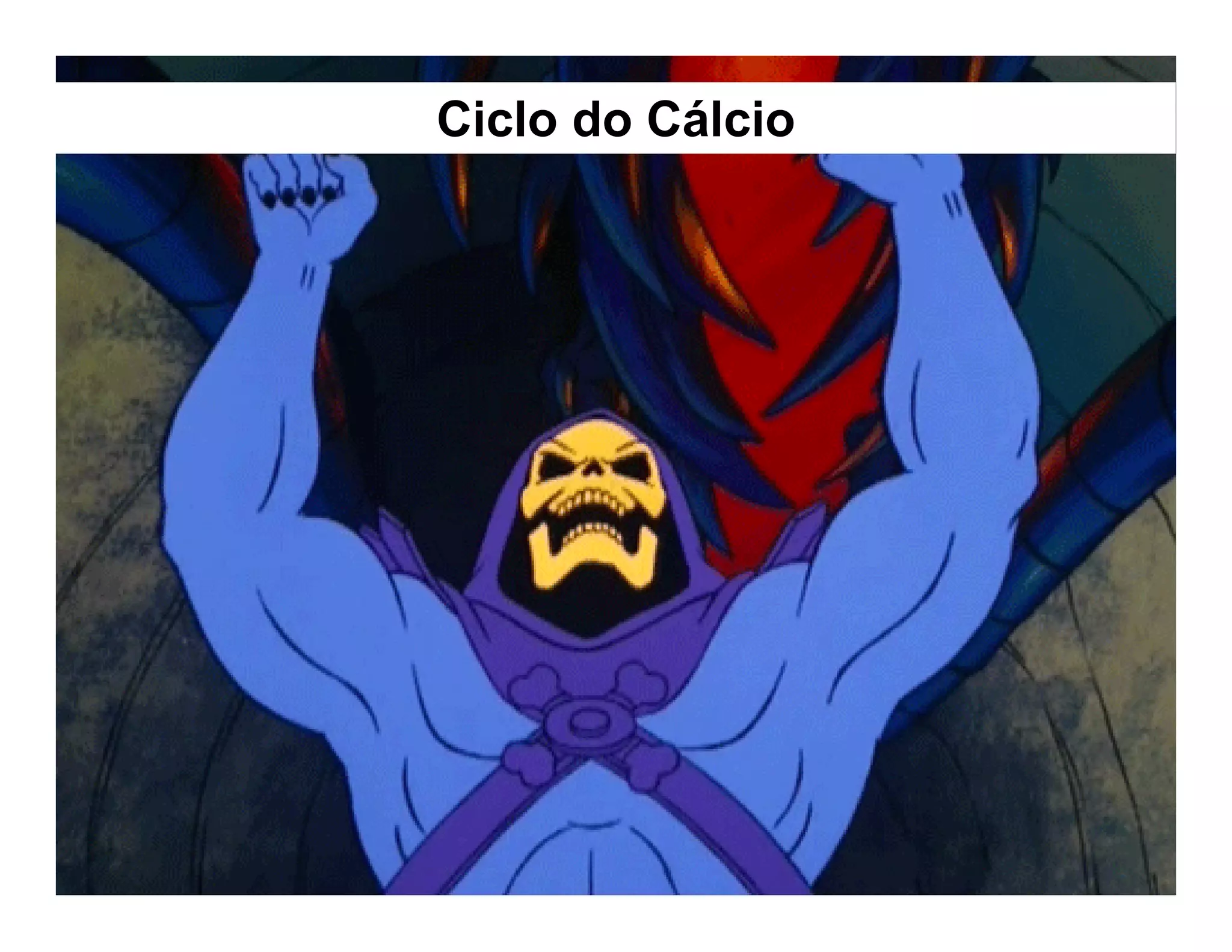 Ciclo do Cálcio