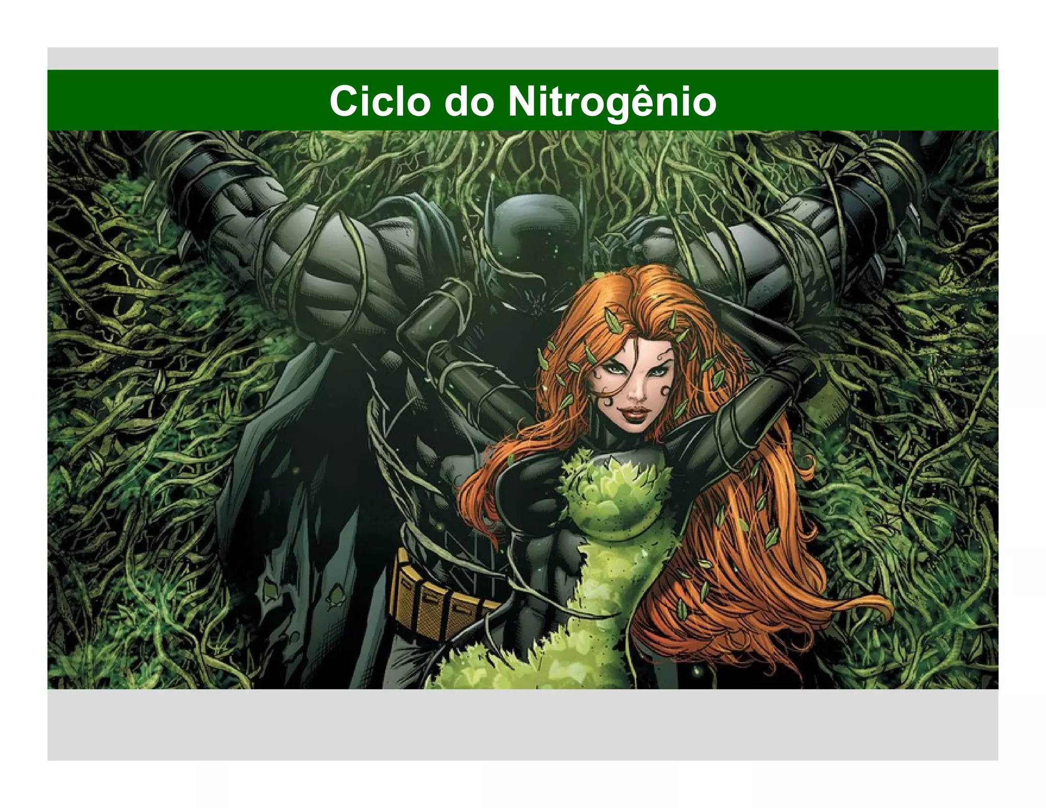 Ciclo do Nitrogênio