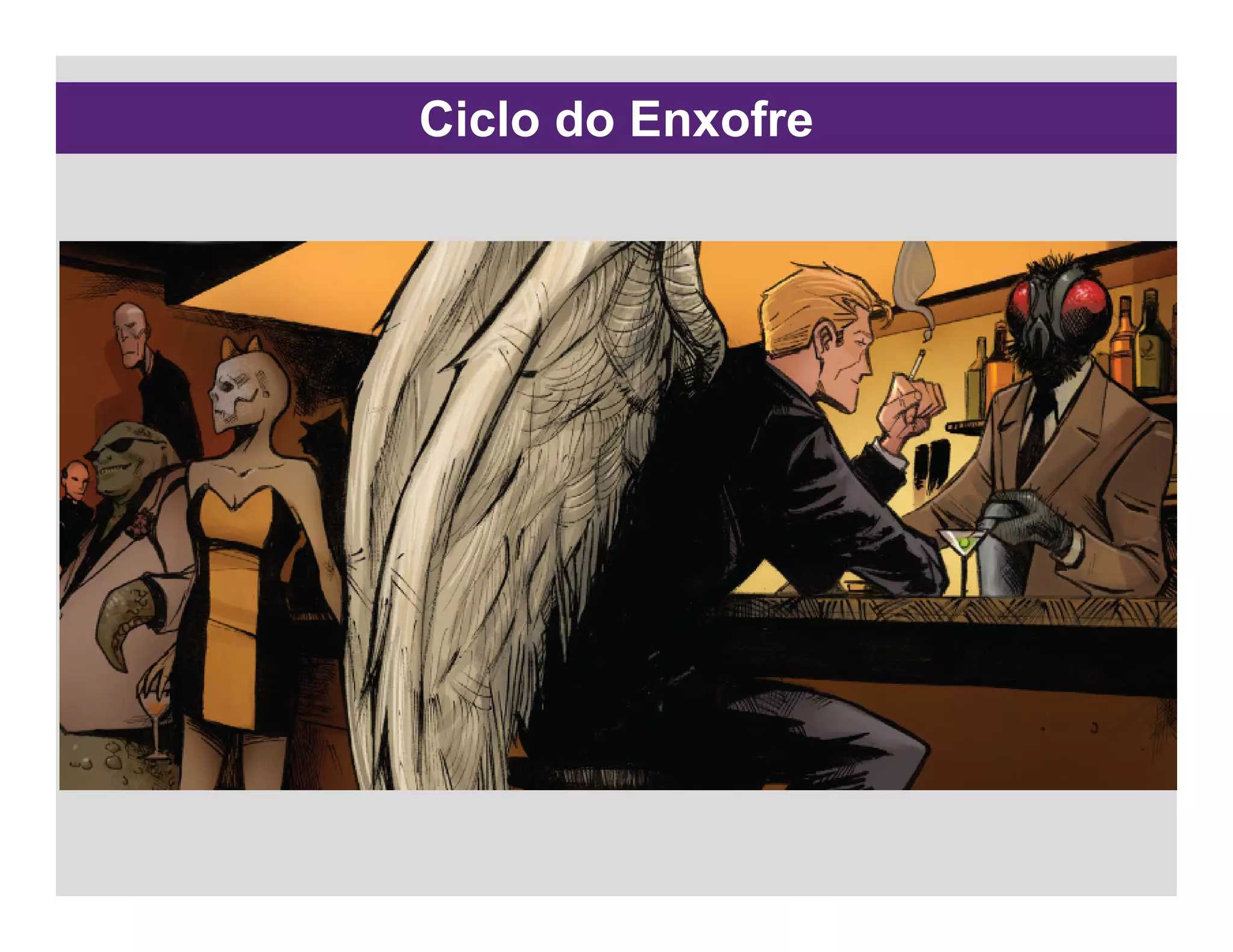 Ciclo do Enxofre