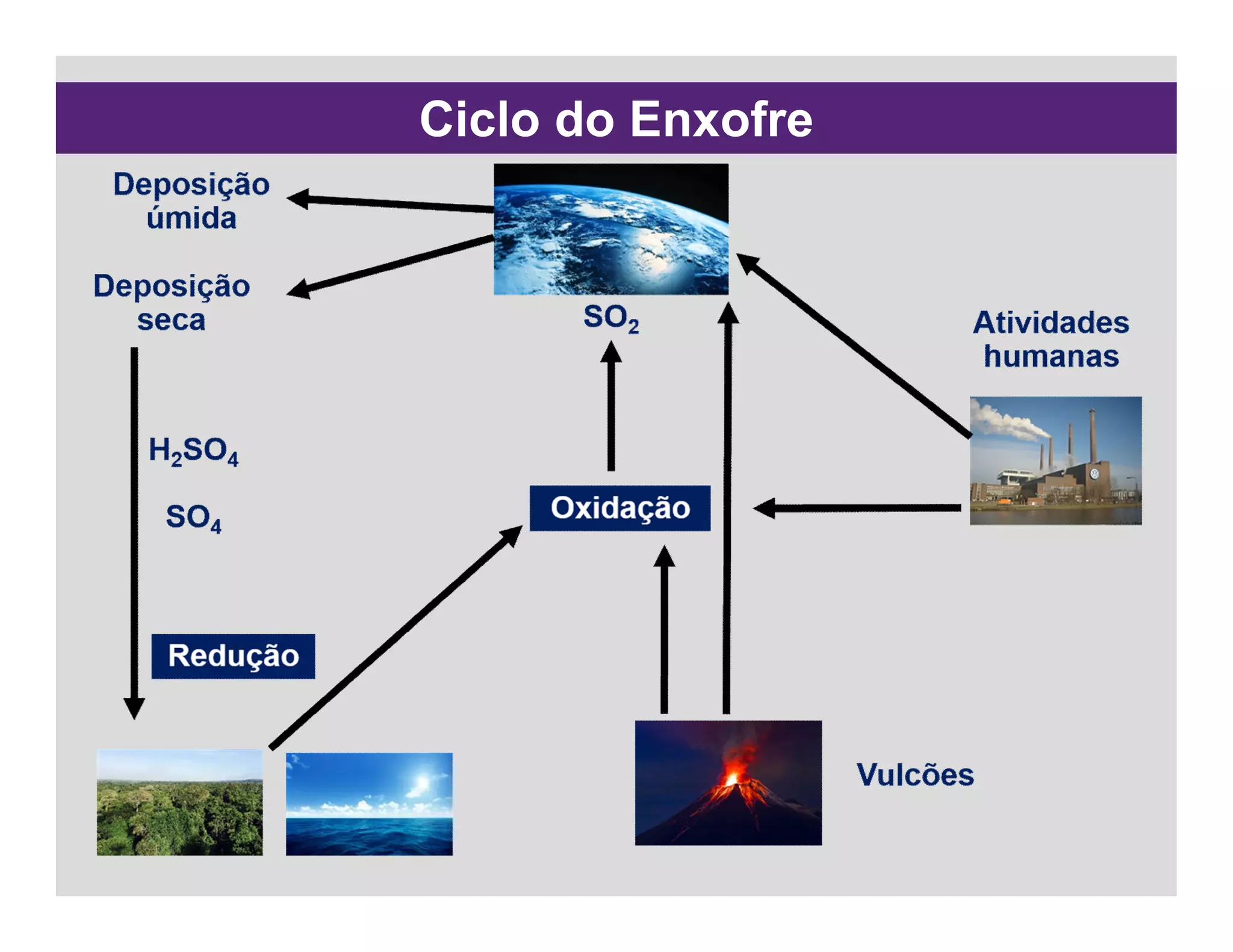 Ciclo do Enxofre