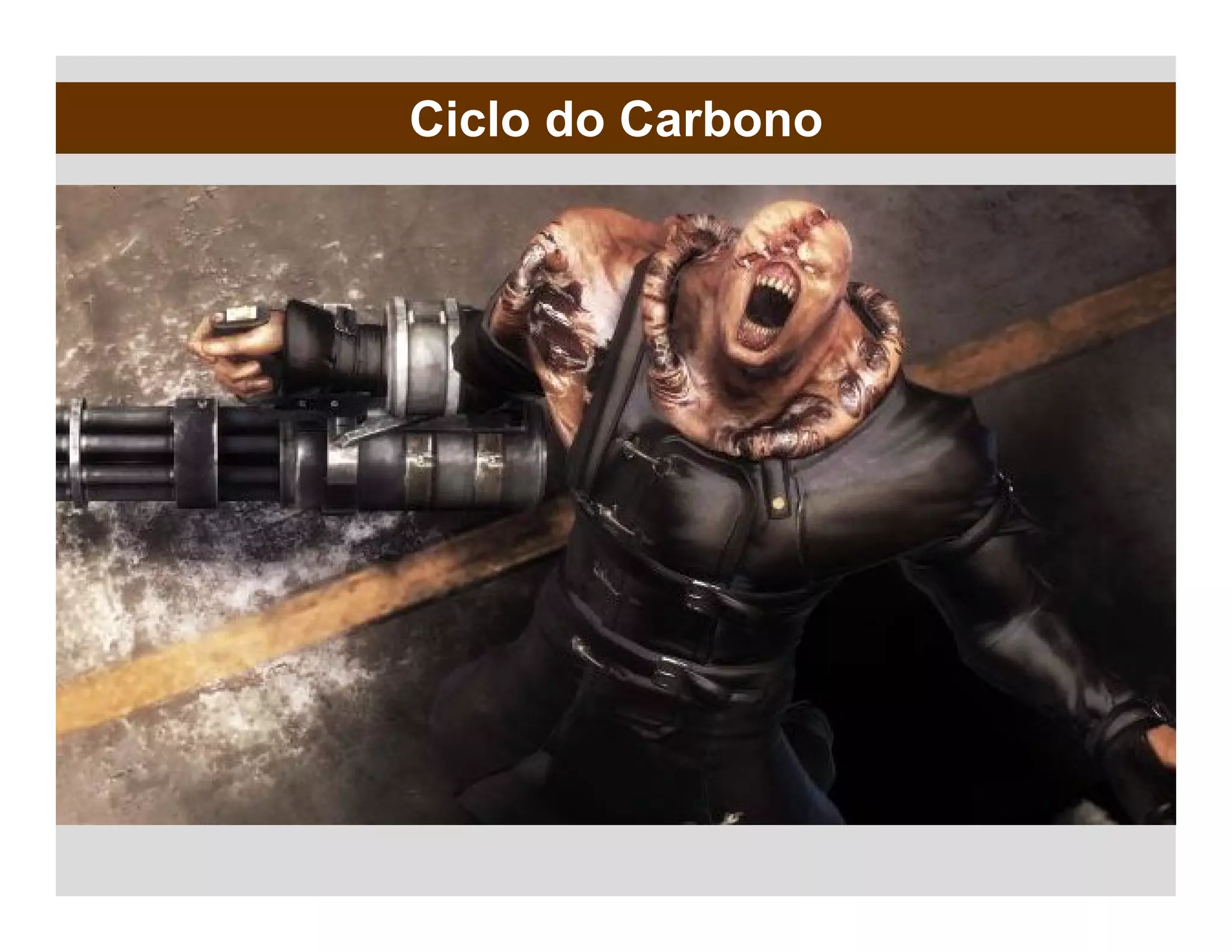 Ciclo do Carbono