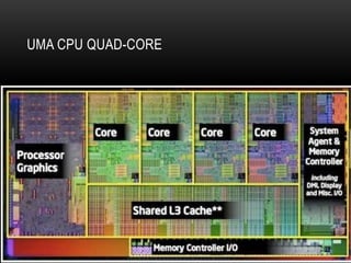 UMA CPU QUAD-CORE
 