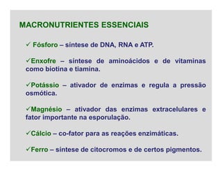  Fósforo – síntese de DNA, RNA e ATP.
Enxofre – síntese de aminoácidos e de vitaminas
como biotina e tiamina.
Potássio – ativador de enzimas e regula a pressão
osmótica.
Magnésio – ativador das enzimas extracelulares e
fator importante na esporulação.
Cálcio – co-fator para as reações enzimáticas.
Ferro – síntese de citocromos e de certos pigmentos.
MACRONUTRIENTES ESSENCIAIS
 