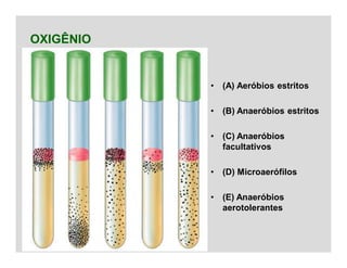 OXIGÊNIO
• (A) Aeróbios estritos
• (B) Anaeróbios estritos
• (C) Anaeróbios
facultativos
• (D) Microaerófilos
• (E) Anaeróbios
aerotolerantes
 