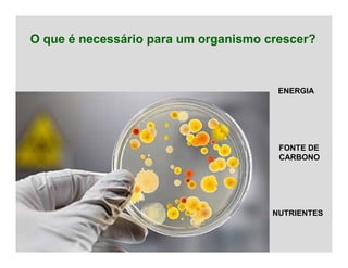 O que é necessário para um organismo crescer?
ENERGIA
FONTE DE
CARBONO
NUTRIENTES
 