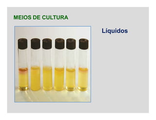 MEIOS DE CULTURA
Líquidos
 