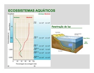 ECOSSISTEMAS AQUÁTICOS
 