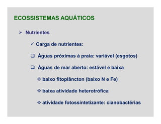  Nutrientes
 Carga de nutrientes:
 Águas próximas à praia: variável (esgotos)
 Águas de mar aberto: estável e baixa
 baixo fitoplâncton (baixo N e Fe)
 baixa atividade heterotrófica
 atividade fotossintetizante: cianobactérias
ECOSSISTEMAS AQUÁTICOS
 