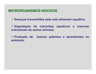  Doenças transmitidas pela rede alimentar aquática;
 Degradação de nutrientes aquáticos e reservas
nutricionais de outros animais;
 Produção de toxinas potentes e persistentes no
ambiente.
MICRORGANISMOS NOCIVOS
 