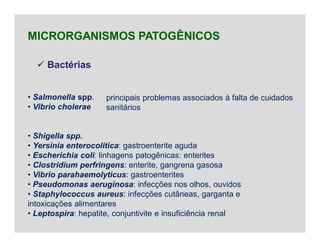  Bactérias
MICRORGANISMOS PATOGÊNICOS
• Salmonella spp.
• Vibrio cholerae
• Shigella spp.
• Yersinia enterocolitica: gastroenterite aguda
• Escherichia coli: linhagens patogênicas: enterites
• Clostridium perfringens: enterite, gangrena gasosa
• Vibrio parahaemolyticus: gastroenterites
• Pseudomonas aeruginosa: infecções nos olhos, ouvidos
• Staphylococcus aureus: infecções cutâneas, garganta e
intoxicações alimentares
• Leptospira: hepatite, conjuntivite e insuficiência renal
principais problemas associados à falta de cuidados
sanitários
 