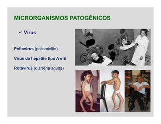  Vírus
MICRORGANISMOS PATOGÊNICOS
Poliovírus (poliomielite)
Vírus da hepatite tipo A e E
Rotavírus (diarréria aguda)
 