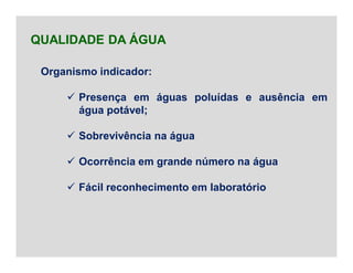 Organismo indicador:
 Presença em águas poluídas e ausência em
água potável;
 Sobrevivência na água
 Ocorrência em grande número na água
 Fácil reconhecimento em laboratório
QUALIDADE DA ÁGUA
 