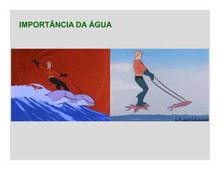 IMPORTÂNCIA DA ÁGUA
 