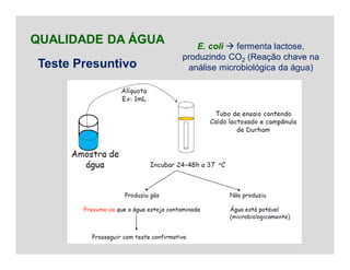 QUALIDADE DA ÁGUA
Teste Presuntivo
E. coli  fermenta lactose,
produzindo CO2 (Reação chave na
análise microbiológica da água)
 