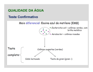 QUALIDADE DA ÁGUA
Teste Confirmativo
 