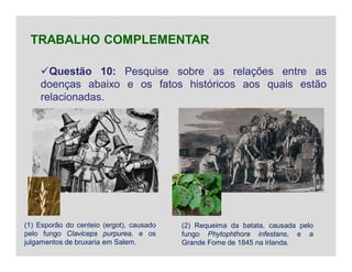 Questão 10: Pesquise sobre as relações entre as
doenças abaixo e os fatos históricos aos quais estão
relacionadas.
TRABALHO COMPLEMENTAR
(1) Esporão do centeio (ergot), causado
pelo fungo Claviceps purpurea, e os
julgamentos de bruxaria em Salem.
(2) Requeima da batata, causada pelo
fungo Phytophthora infestans, e a
Grande Fome de 1845 na Irlanda.
 