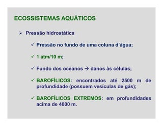  Pressão hidrostática
 Pressão no fundo de uma coluna d’água;
 1 atm/10 m;
 Fundo dos oceanos  danos às células;
 BAROFÍLICOS: encontrados até 2500 m de
profundidade (possuem vesículas de gás);
 BAROFÍLICOS EXTREMOS: em profundidades
acima de 4000 m.
ECOSSISTEMAS AQUÁTICOS
 