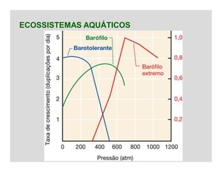 ECOSSISTEMAS AQUÁTICOS
 