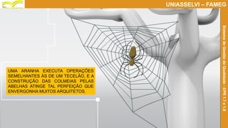 Prof. Claudio Bernardi Stringari, Eng. Esp.
7
UNIASSELVI – FAMEG
SistemadeGestãodaQualidade-EPR1.7e1.8
UMA ARANHA EXECUTA OPERAÇÕES
SEMELHANTES ÀS DE UM TECELÃO, E A
CONSTRUÇÃO DAS COLMEIAS PELAS
ABELHAS ATINGE TAL PERFEIÇÃO QUE
ENVERGONHA MUITOS ARQUITETOS.
 