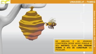 Prof. Claudio Bernardi Stringari, Eng. Esp.
8
UNIASSELVI – FAMEG
SistemadeGestãodaQualidade-EPR1.7e1.8
AS ABELHAS E AS ARANHAS
CONSTROEM DESSE MODO PORQUE É
SEU INSTINTO. ELAS NÃO PENSAM
SOBRE O ATO DE CONSTRUIR OU
PRODUZIR..
 