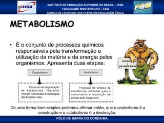 METABOLISMO É o conjunto de processos químicos responsáveis pela transformação e utilização da matéria e da energia pelos organismos. Apresenta duas etapas:  De uma forma bem simples podemos afirmar então, que o anabolismo é a construção e o catabolismo é a destruição.  
