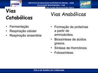 Vias Catabólicas Fermentação Respiração celular Respiração anaeróbia Vias Anabólicas Formação de proteínas a partir de aminoácidos. Biossíntese de ácidos graxos. Síntese de Hormônios Fotossíntese. 