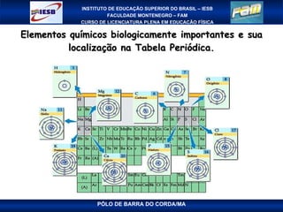 Elementos químicos biologicamente importantes e sua localização na Tabela Periódica. 