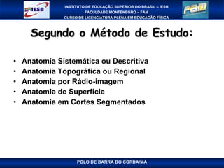 Segundo o Método de Estudo: Anatomia Sistemática ou Descritiva Anatomia Topográfica ou Regional Anatomia por Rádio-imagem Anatomia de Superfície Anatomia em Cortes Segmentados PÓLO DE BARRA DO CORDA/MA 