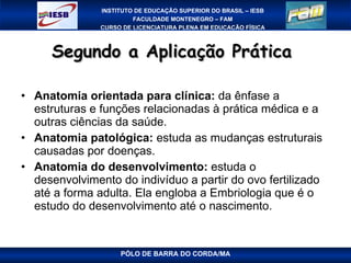 Segundo a Aplicação Prática  Anatomia orientada para clínica:  da ênfase a estruturas e funções relacionadas à prática médica e a outras ciências da saúde.  Anatomia patológica:  estuda as mudanças estruturais causadas por doenças. Anatomia do desenvolvimento:  estuda o desenvolvimento do indivíduo a partir do ovo fertilizado até a forma adulta. Ela engloba a Embriologia que é o estudo do desenvolvimento até o nascimento. PÓLO DE BARRA DO CORDA/MA 