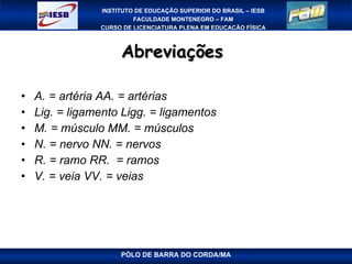 Abreviações  A. = artéria AA. = artérias Lig. = ligamento Ligg. = ligamentos M. = músculo MM. = músculos N. = nervo NN. = nervos R. = ramo RR.  = ramos V. = veia VV. = veias PÓLO DE BARRA DO CORDA/MA 