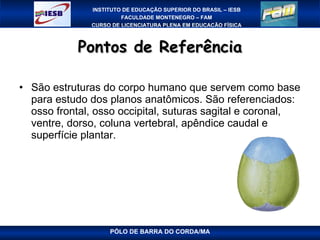 Pontos de Referência São estruturas do corpo humano que servem como base para estudo dos planos anatômicos. São referenciados: osso frontal, osso occipital, suturas sagital e coronal, ventre, dorso, coluna vertebral, apêndice caudal e superfície plantar. PÓLO DE BARRA DO CORDA/MA 