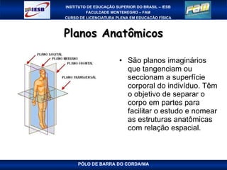 Planos Anatômicos São planos imaginários que tangenciam ou seccionam a superfície corporal do indivíduo. Têm o objetivo de separar o corpo em partes para facilitar o estudo e nomear as estruturas anatômicas com relação espacial.  PÓLO DE BARRA DO CORDA/MA 