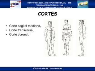 CORTES Corte sagital mediano,   Corte transversal,  Corte coronal,  PÓLO DE BARRA DO CORDA/MA 