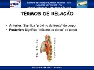 TERMOS DE RELAÇÃO Anterior:  Significa “próximo da frente” do corpo. Posterior:  Significa “próximo ao dorso” do corpo PÓLO DE BARRA DO CORDA/MA 