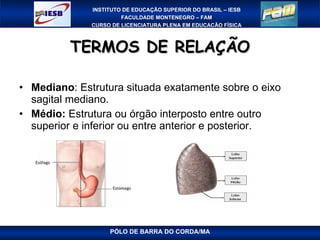 TERMOS DE RELAÇÃO Mediano : Estrutura situada exatamente sobre o eixo sagital mediano. Médio:  Estrutura ou órgão interposto entre outro superior e inferior ou entre anterior e posterior. PÓLO DE BARRA DO CORDA/MA 