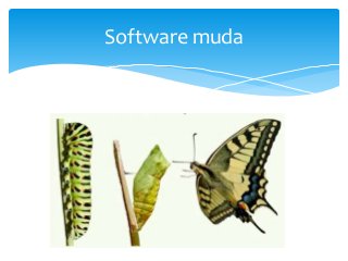 Software muda

 