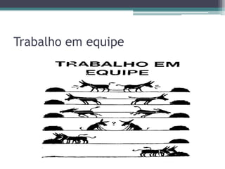 Trabalho em equipe

 