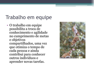 Trabalho em equipe
• O trabalho em equipe
possibilita a troca de
conhecimento e agilidade
no cumprimento de metas
e objetivos
compartilhados, uma vez
que otimiza o tempo de
cada pessoa e ainda
contribui para conhecer
outros indivíduos e
aprender novas tarefas.

 
