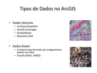 Tipos de Dados no ArcGIS
• Dados Vetoriais
– ArcView Shapefiles
– ArcInfo Coverages
– Geodatabase
– Desenhos CAD
• Dados Raster
– A maioria dos formatos de imageamento
podem ser lidos
– ArcInfo GRIDs, MRSID
 