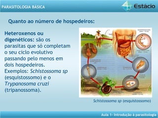 Aula 1- Introdução à parasitologia
PARASITOLOGIA BÁSICA
Heteroxenos ou
digenéticos: são os
parasitas que só completam
o seu ciclo evolutivo
passando pelo menos em
dois hospedeiros.
Exemplos: Schistossoma sp
(esquistossomo) e o
Trypanosoma cruzi
(tripanossoma).
Quanto ao número de hospedeiros: 
Schistossoma sp (esquistossomo)
 