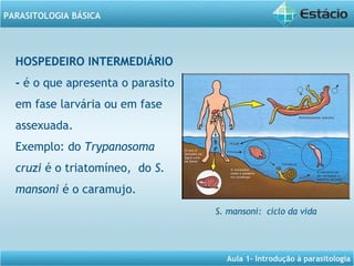 Aula 1- Introdução à parasitologia
PARASITOLOGIA BÁSICA
HOSPEDEIRO INTERMEDIÁRIO
- é o que apresenta o parasito
em fase larvária ou em fase
assexuada. 
Exemplo: do Trypanosoma
cruzi é o triatomíneo, do S.
mansoni é o caramujo.
S. mansoni: ciclo da vida
 