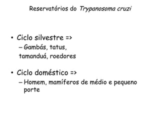 Reservatórios do Trypanosoma cruzi
• Ciclo silvestre =>
– Gambás, tatus,
tamanduá, roedores
• Ciclo doméstico =>
– Homem, mamíferos de médio e pequeno
porte
 